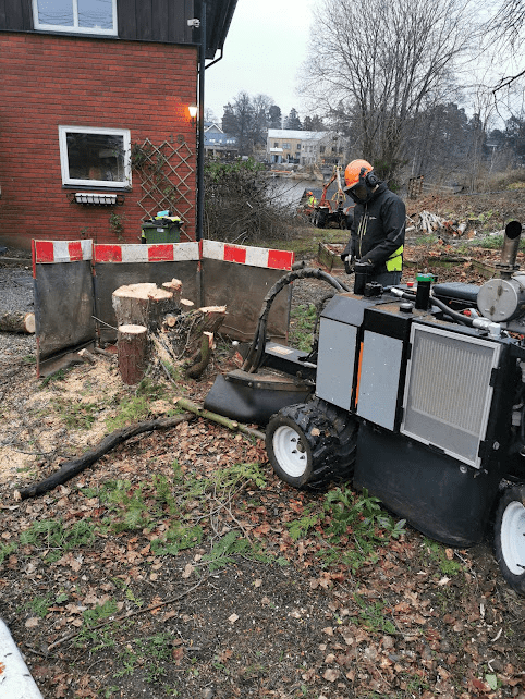Stubbfräsning Piteå